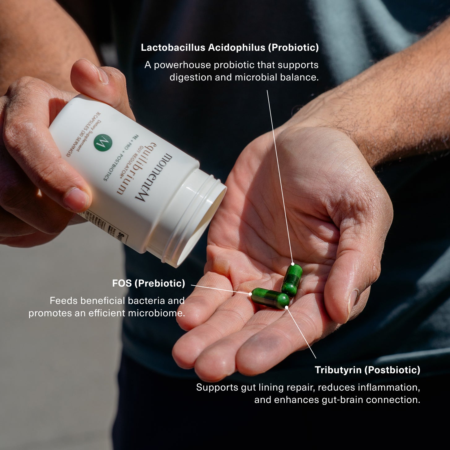 Person holding a container of probiotics with labeled components