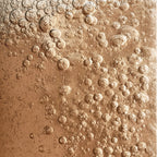 Ignition Apple Cider