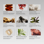 Ignition Variety Pack